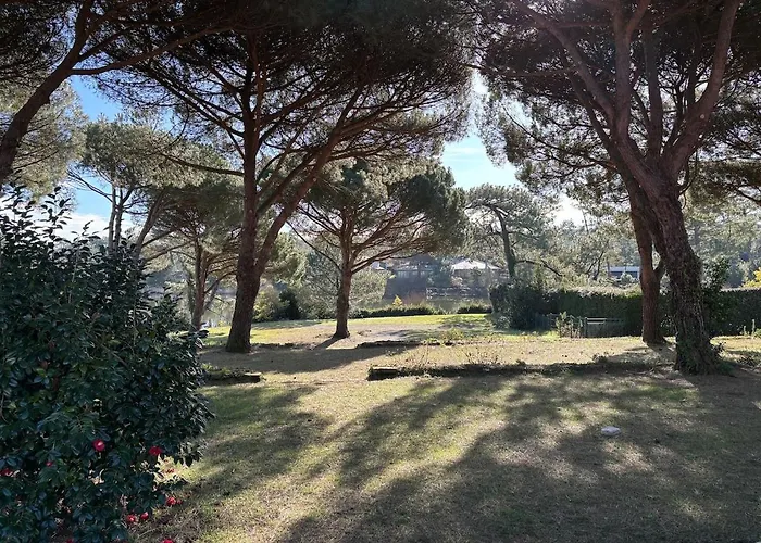 Chiberta, A Pied, Piscine Et Golf, 4 Pers Anglet